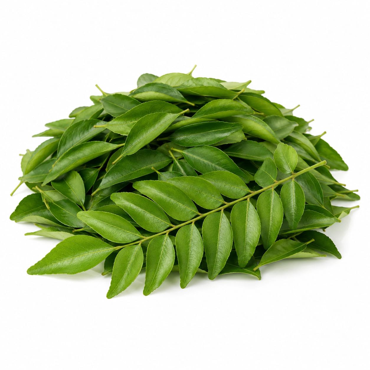 Curry Leaves (Kari Patta)